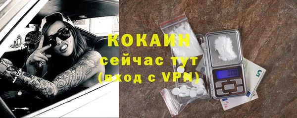 СК Волосово