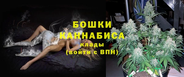 СК Волосово