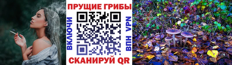 Псилоцибиновые грибы мицелий  блэк спрут онион  Шебекино 